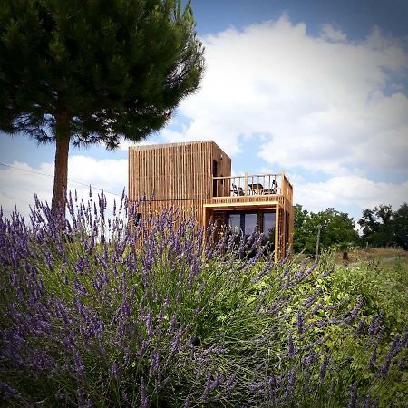 Manege De La Chapiniere - Dadaloge Tiny-House Villa Chateauvieux  Luaran gambar