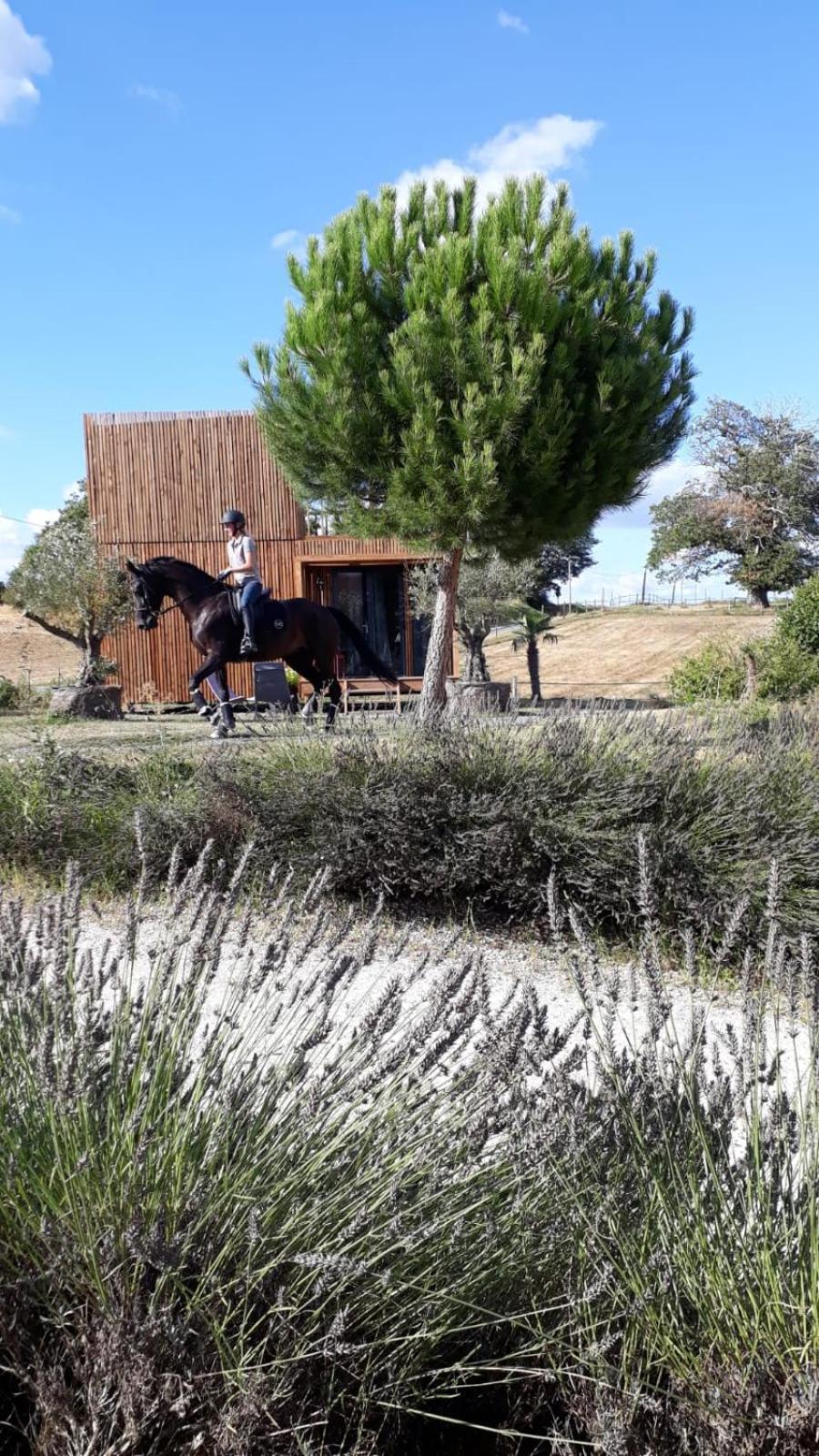 Manege De La Chapiniere - Dadaloge Tiny-House Villa Chateauvieux  Luaran gambar