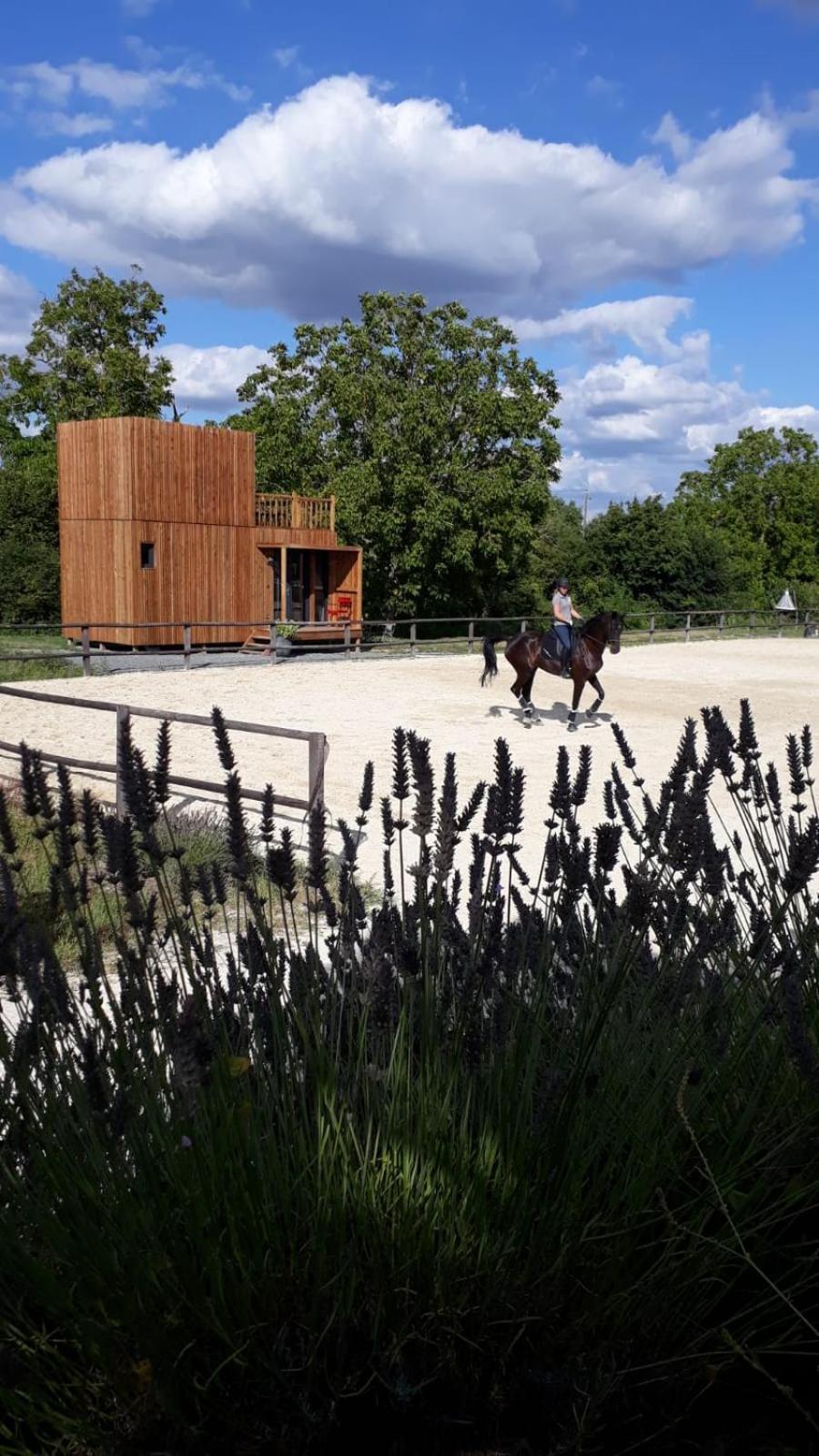 Manege De La Chapiniere - Dadaloge Tiny-House Villa Chateauvieux  Luaran gambar