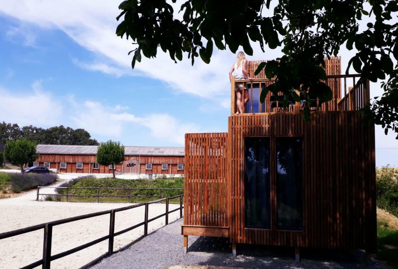 Manege De La Chapiniere - Dadaloge Tiny-House Villa Chateauvieux  Luaran gambar